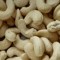 Cashew Nuts