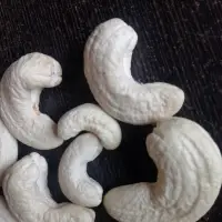 Organic Cashew Nuts