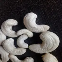 Cashew Nut Different Grades