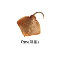 Ray Fish