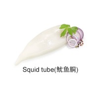 Squid Tube