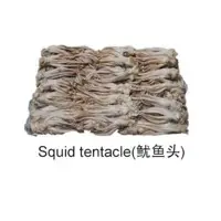 Squid Tentacle