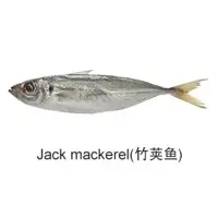 Jack Mackerel Fish