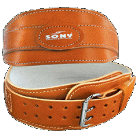 Lifting Belt (Zigzag)