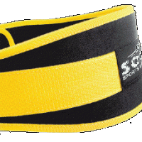 Lifting Belt (Zigzag)