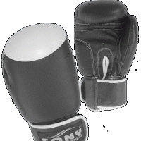 Boxing Glove