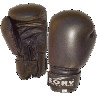 Boxing Glove