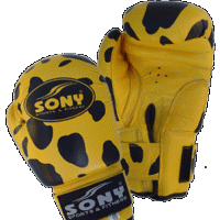 Boxing Glove