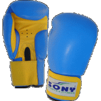 Boxing Glove