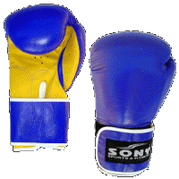 Boxing Glove