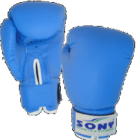 Boxing Glove
