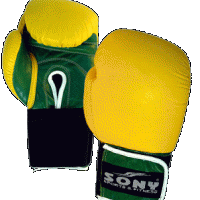 Boxing Glove