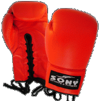 Boxing Glove