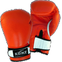 Boxing Glove