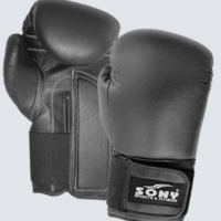 Boxing Glove