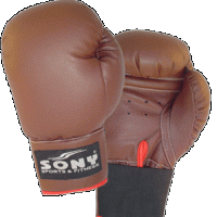 Boxing Glove
