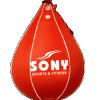 Speed Ball