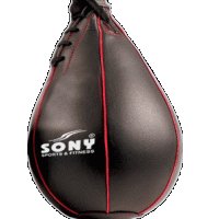 Speed Ball