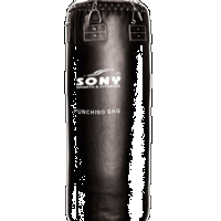 Punching Bag