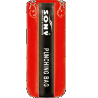 Punching Bag