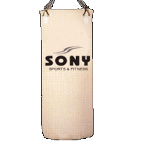 Punching Bag