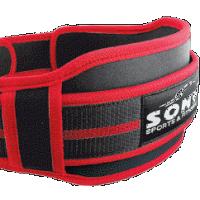 Lifting Belt