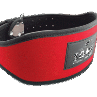 Lifting Belt