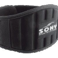 Lifting Belt