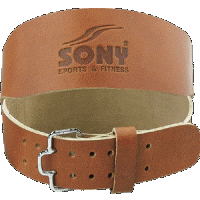 Lifting Belt