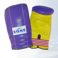 Karate Mitt
