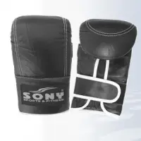 Karate Mitt