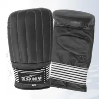 Karate Mitt