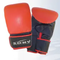 Karate Mitt