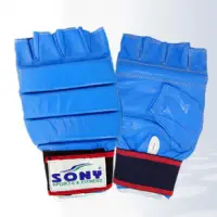 Karate Mitt
