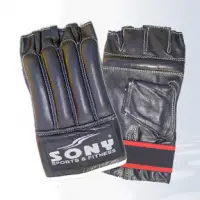 Karate Mitt