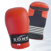 Karate Mitt