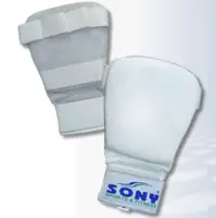 Karate Mitt