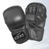 MMA Or Grappling Glove