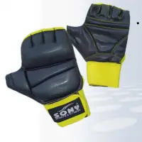 MMA And Grappling Glove