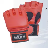 MMA And Grappling Glove