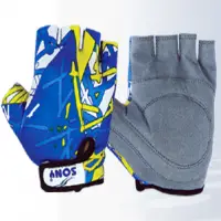 Cycling Glove