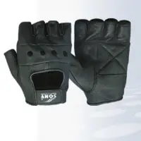 Economy Glove