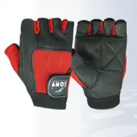 Economy Glove