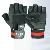 Economy Glove