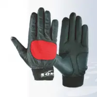 Golf Glove