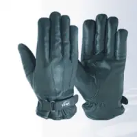 Winter or Driving  Glove