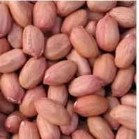 Peanuts Kernel