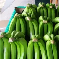Fresh Banana