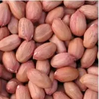 Groundnuts Kernel