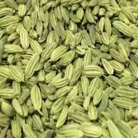 Fennel Seed